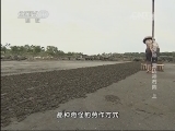地理中国 《地理中国》 20131130 琼州探秘-海边神石阵（上）