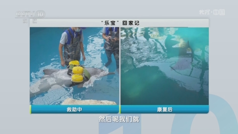 地理中国 《地理·中国》 20241018 “乐宝”回家记