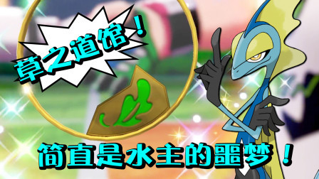 酷爱精灵宝可梦 第一季 收集道馆战的第一个徽章！草之道馆对水主有点难！