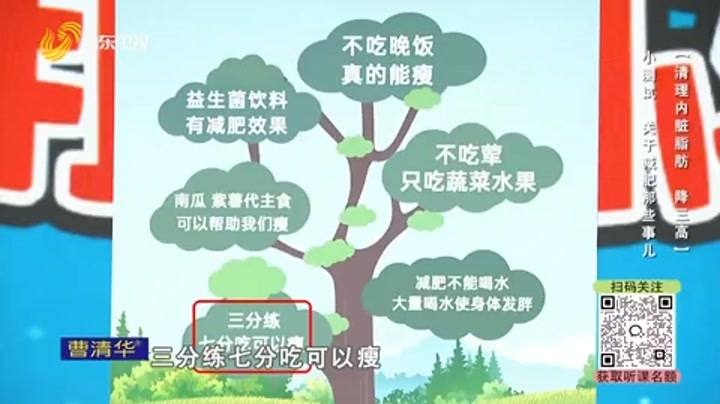 大医本草堂 清理内脏脂肪 降三高