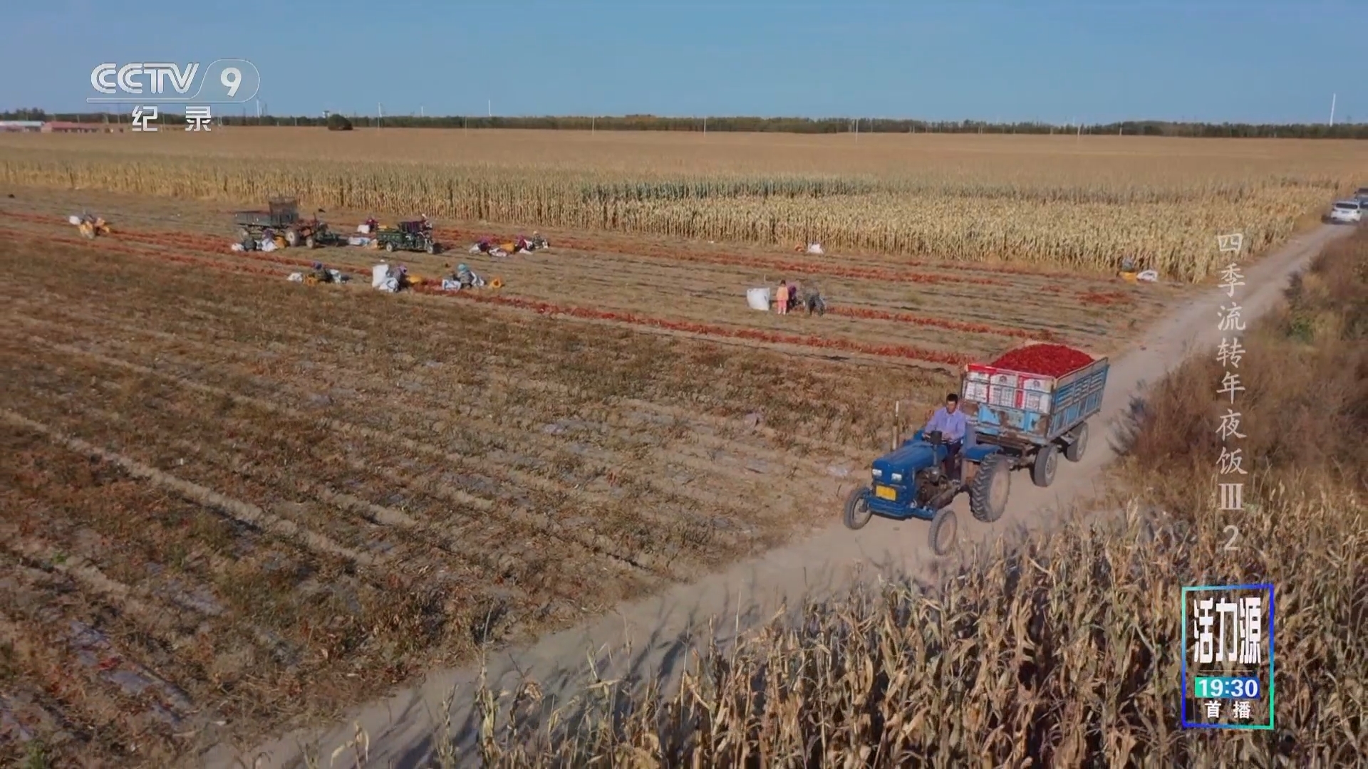 《四季流转年夜饭 第三季》 第2集 落地生根