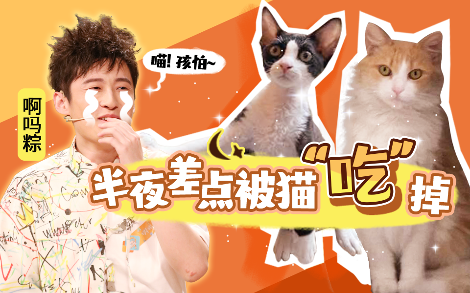 动物圈的问号脸 啊吗粽差点被猫“吃”掉？！散人爱宠为何见公狗就咬？