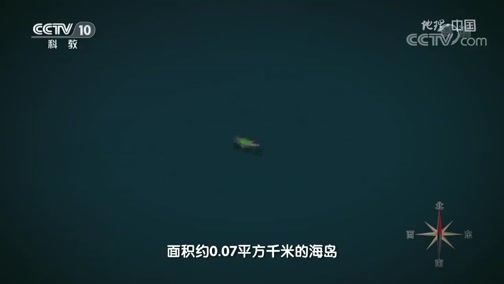 地理中国 《地理·中国》 20200113 自然胜景·探秘无人岛 上