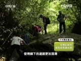地理中国 《地理中国》 20150916 奇河谜洞（上）