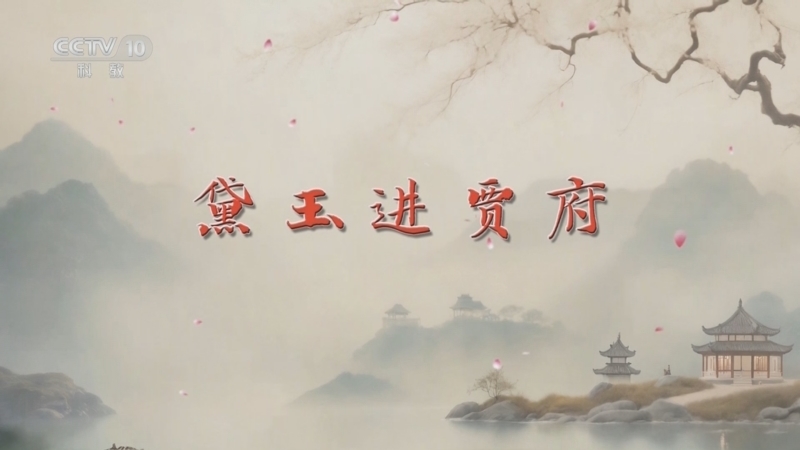 百家讲坛 《百家讲坛》 20241009 红楼名场面（第一部） 2 黛玉进贾府