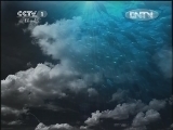 人与自然 《人与自然》 20120612 自然发现 冷血生命—冷血动物真相（下）