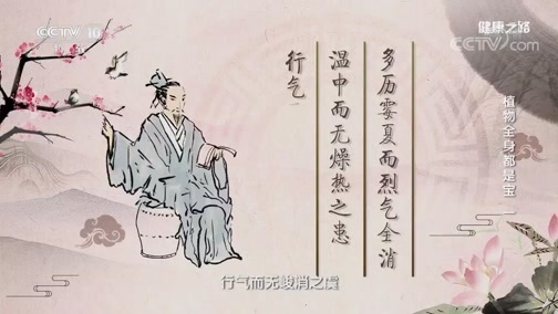 健康之路 《健康之路》 20190719 植物全身都是宝（一）