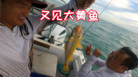 跑4个小时到80海里外的钓点，一天下来这样的结果真是意想不到