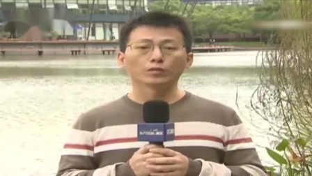 新闻制高点 聚焦“未来车”金桥营造5G赋能汽车产业新生态