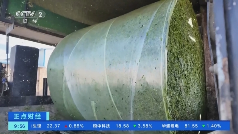 正点财经 《正点财经》 20260610 09:00
