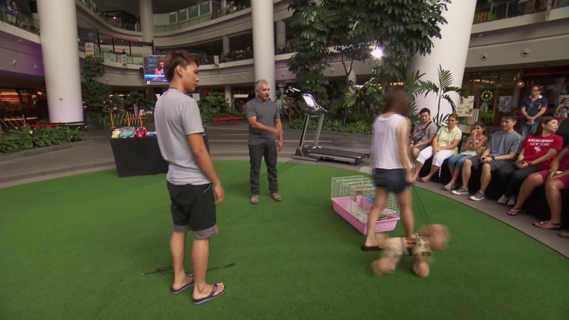 西泽教官亚洲开课第一季 第1集