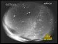 新闻袋袋裤 新闻袋袋裤 2009年 第204期