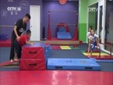 小小智慧树 《小小智慧树》 20161014