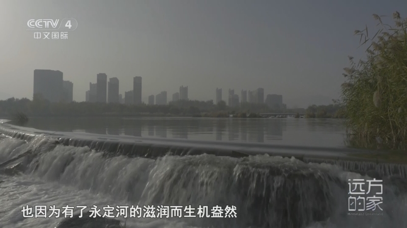 远方的家 《远方的家》 20251114 山河锦绣看中国 杨柳拂岸 水润京城