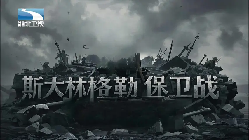 《斯大林格勒保卫战：德军战败真相揭秘》第2集