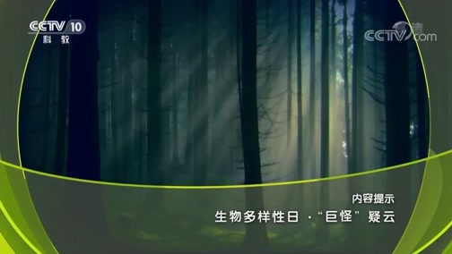 地理中国 《地理中国》 20190525 生物多样性日·“巨怪”疑云