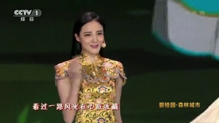 2016中央电视台元宵晚会 歌曲《叮咯咙咚呛》叶一茜 余少群 刘雨欣等