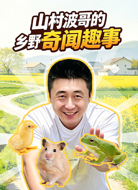 波哥乡野奇闻趣事