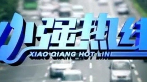小强热线 小强热线20141225