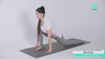 瑜伽人每天必练的瑜伽体式，加强身体活动力，滋养内脏