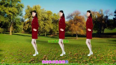 温柔甜蜜DJ广场舞《我的快乐就是想你》优美32步