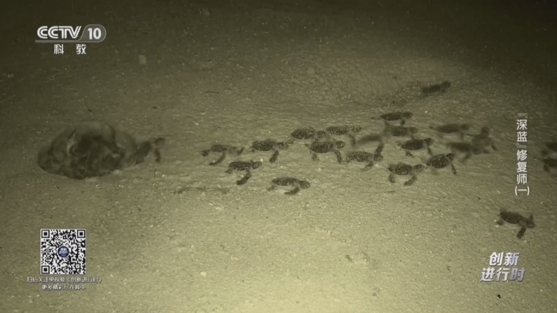 《创新进行时》 20251224 “深蓝”修复师（一）