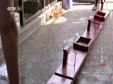 动物世界 《动物世界》 20170427 黑猩猩究竟有多聪明
