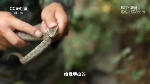 地理中国 《地理中国》 20190315 奇岛谜迹（上）