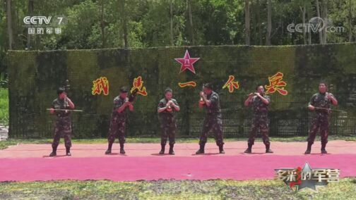 多彩的军营