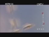 动物世界 《动物世界》 20140928 草原霸主-狮子（五）