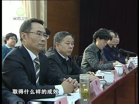 江源扫描 《江源扫描》 20131215 人大专题询问 政府现场应答