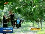 新疆新闻联播 《新疆新闻联播》 20170517