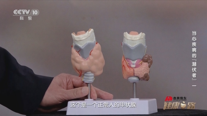 健康之路 《健康之路》 20230708 当心疾病的“潜伏者”（一）