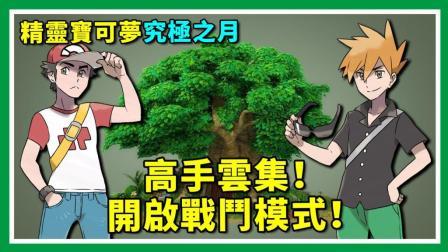 酷爱精灵宝可梦 第一季 铭刻阿罗拉的战斗历史 高手云集的对战树