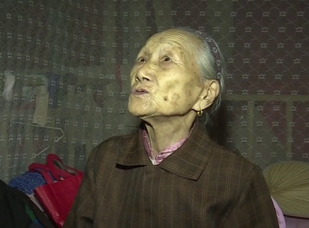 寻情记 九旬娭毑为何住窝棚？