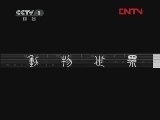 动物世界 《动物世界》 20120112