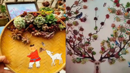 花艺师手把手教你 多肉组合盆栽的创意玩法