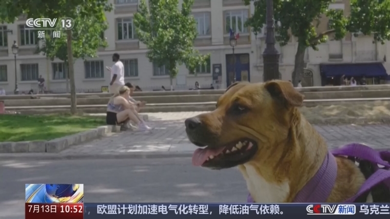 《新闻直播间》 20260713 10:00