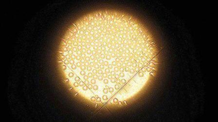 10年时间 北大才子研发核心技术 每年为国家省上百亿