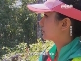 原来如此 《原来如此》 20141002 蜜蜂袭来
