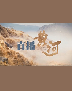 直播黄河 海报