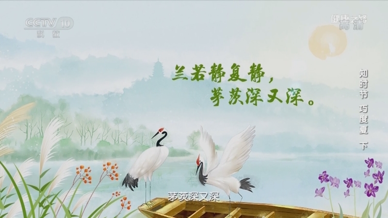 健康之路 《健康之路》 20220723 知时节 巧度夏（下）