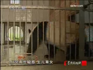 走近科学 英雄母亲 帼帼