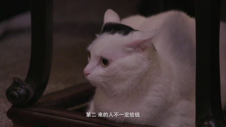 观复嘟嘟丁酉版 2017 马爷为治愈走上歧路