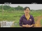 远方的家 江河万里行 第48集 南渡江 南渡江畔的人鸟情缘 《远方的家》21040702