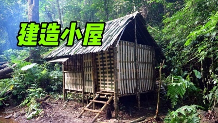 捕捉动物并完成建造庇护所小屋