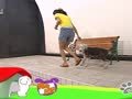 狗狗日记 第132天 克服恐惧