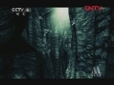 中国电影报道 《中国电影报道》 20120128