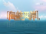 海峡两岸 《海峡两岸》 20160716