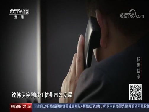 新闻调查 《新闻调查》 20200620 扫黑拔伞